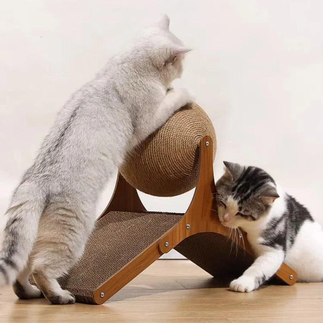 Animaux