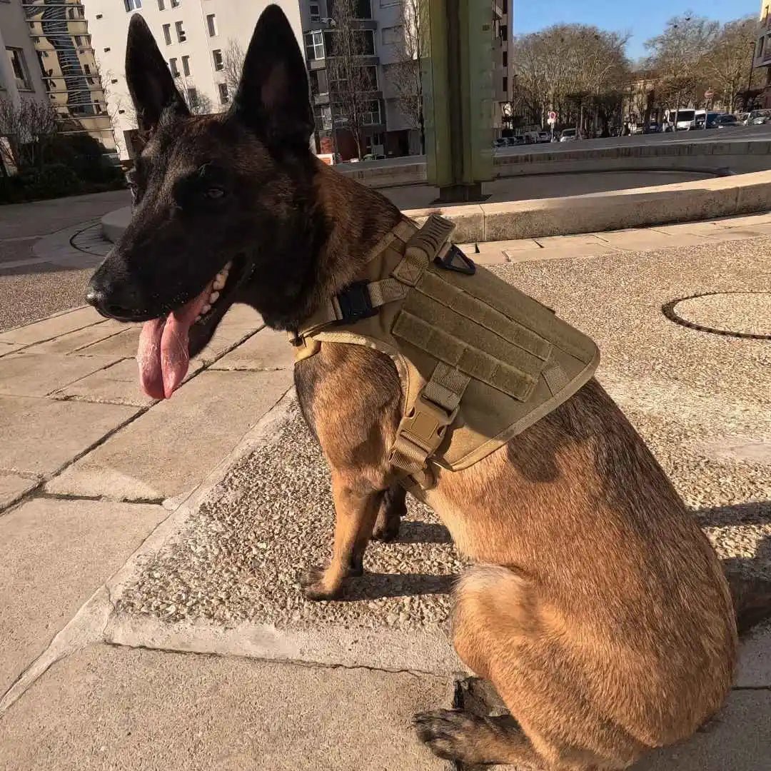 Harnais tactique K9 pour chien en nylon balistique, ajustable, avec laisse anti-traction et sacoches