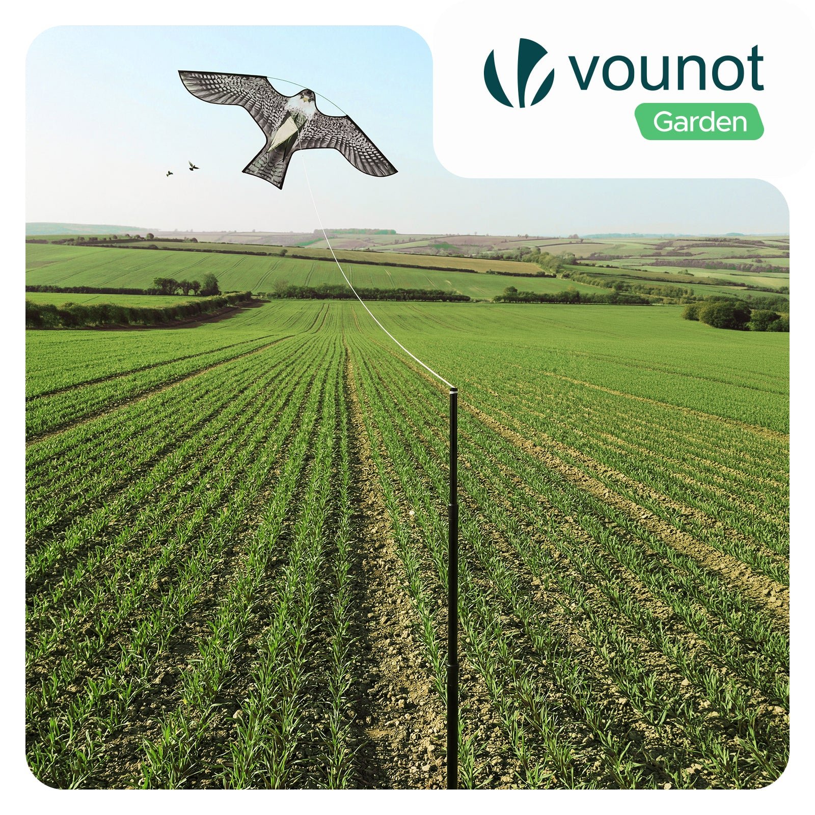 Cerf-volant anti-oiseaux faucon, lot de 2 modèles A et G avec mât télescopique de 4 m